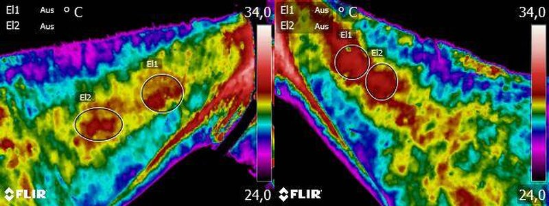 Pferdethermografie Hals